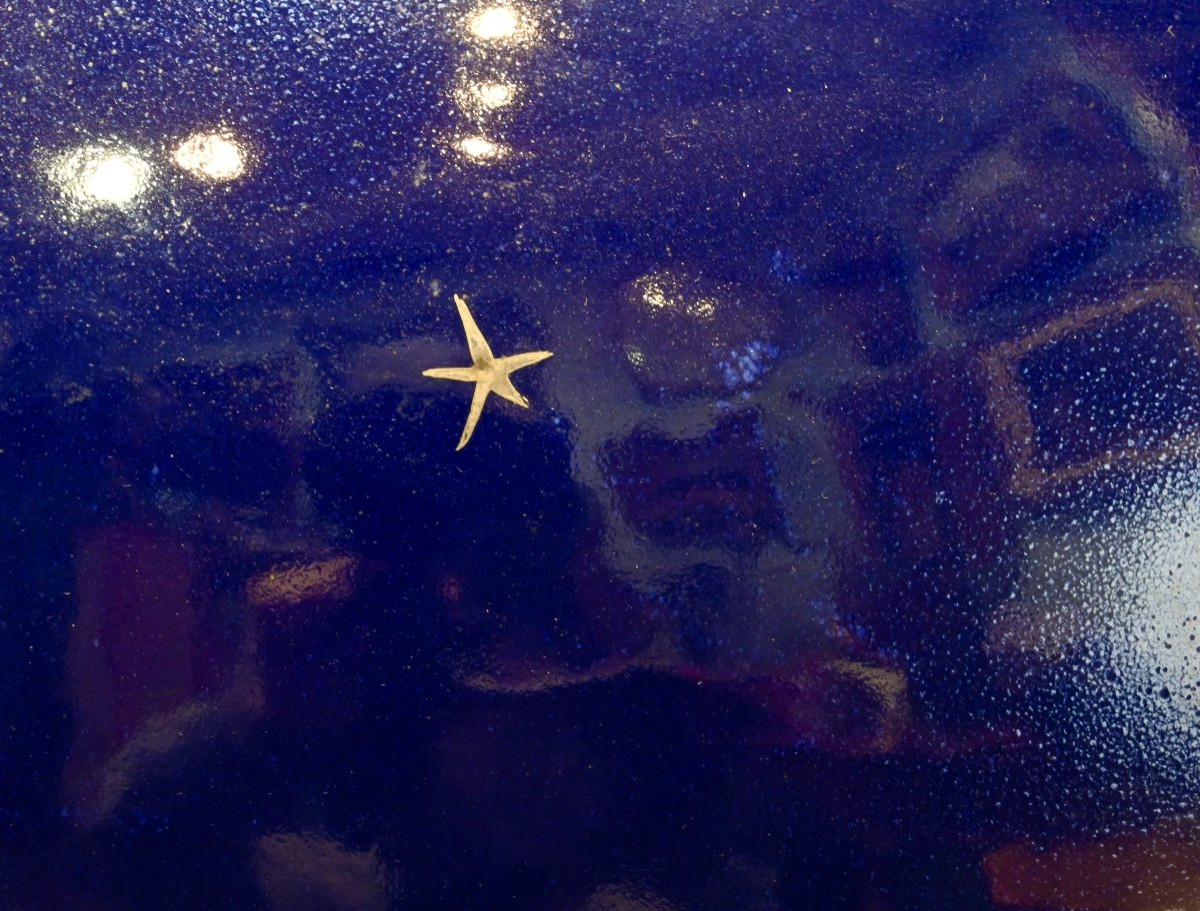 R. Scuola D’arte Grottaglie  - Large Blue Ceramic Vase With Gold Details - Italy, 1930s-photo-4